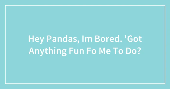 Hey Pandas, Im Bored. 'Got Anything Fun Fo Me To Do?