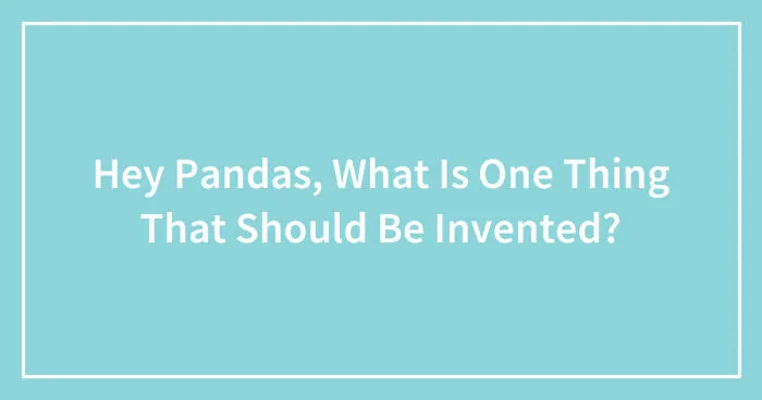 Hey Pandas, What Is One Thing That Should Be Invented? (Closed)