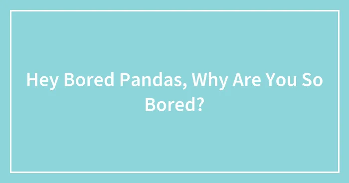 Hey Bored Pandas, Why Are You So Bored? (Closed)