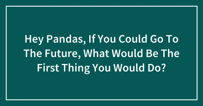 Hey Pandas, If You Could Go To The Future, What Would Be The First Thing You Would Do? (Closed)