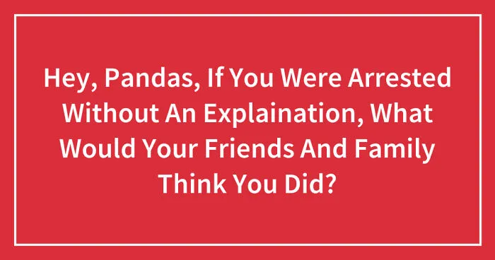 Hey Pandas, If You Were Arrested Without An Explaination, What Would Your Friends And Family Think You Did? (Closed)