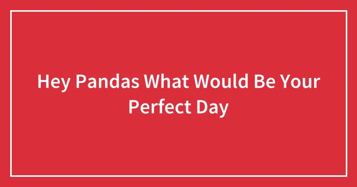 Hey Pandas What Would Be Your Perfect Day