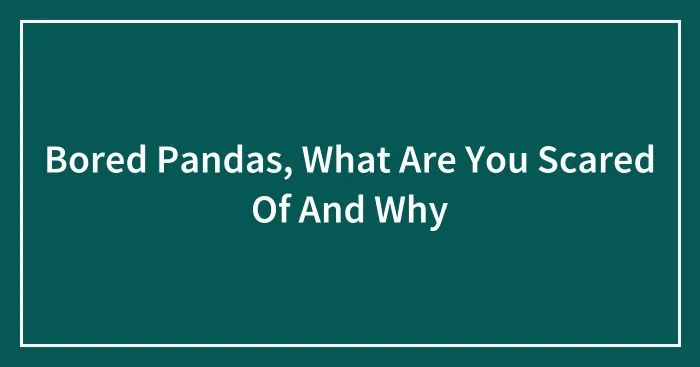 Bored Pandas, What Are You Scared Of And Why