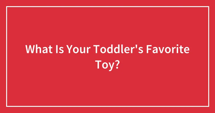 What Is Your Toddler's Favorite Toy?