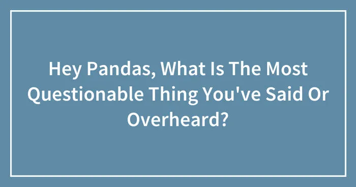 Hey Pandas, What Is The Most Questionable Thing You've Said Or Overheard? (Closed)