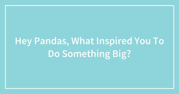 Hey Pandas, What Inspired You To Do Something Big? (Closed)