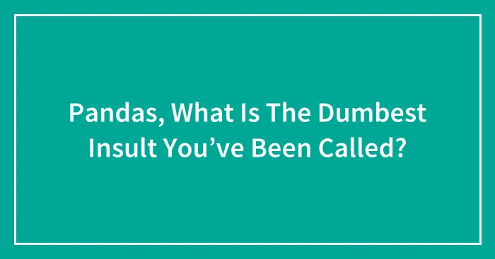 Pandas, What Is The Dumbest Insult You’ve Been Called? (Closed)
