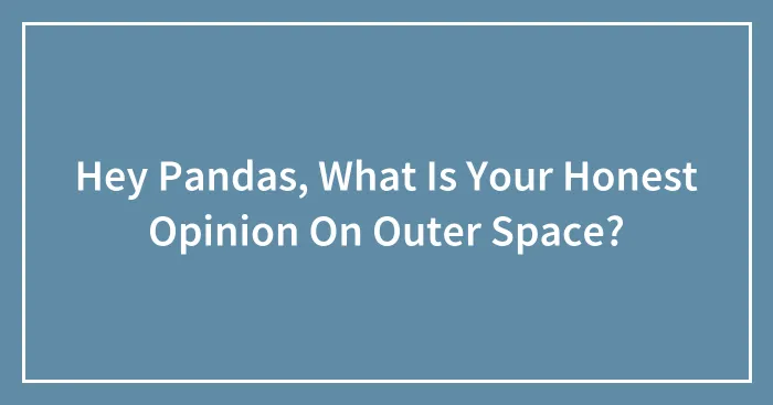 Hey Pandas, What Is Your Honest Opinion On Outer Space? (Closed)