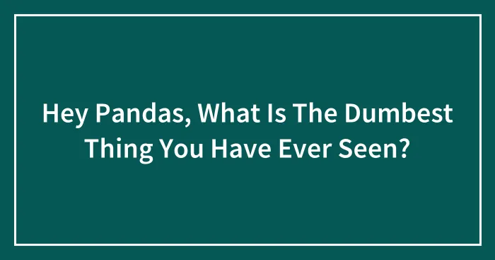 Hey Pandas, What Is The Dumbest Thing You Have Ever Seen? (Closed)