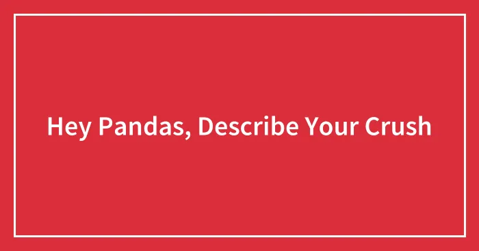 Hey Pandas, Describe Your Crush (Closed)