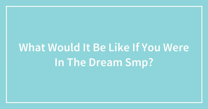 What Would It Be Like If You Were In The Dream Smp?