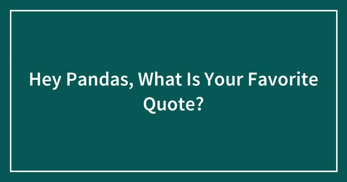 Hey Pandas, What Is Your Favorite Quote? (Closed)