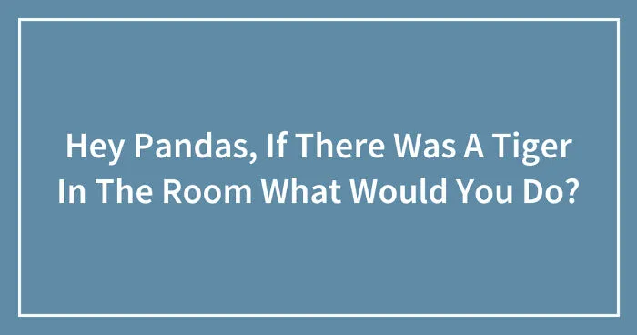 Hey Pandas, If There Was A Tiger In The Room What Would You Do? (Closed)