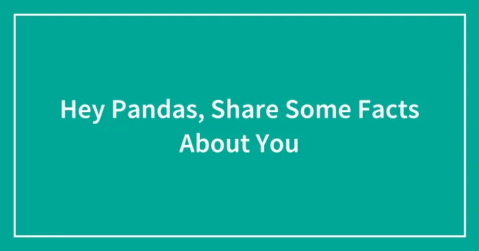 Hey Pandas, Share Some Facts About You (Closed)