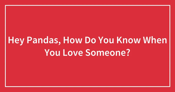 Hey Pandas, How Do You Know When You Love Someone? (Closed)