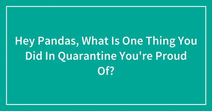 Hey Pandas, What Is One Thing You Did In Quarantine You're Proud Of? (Closed)