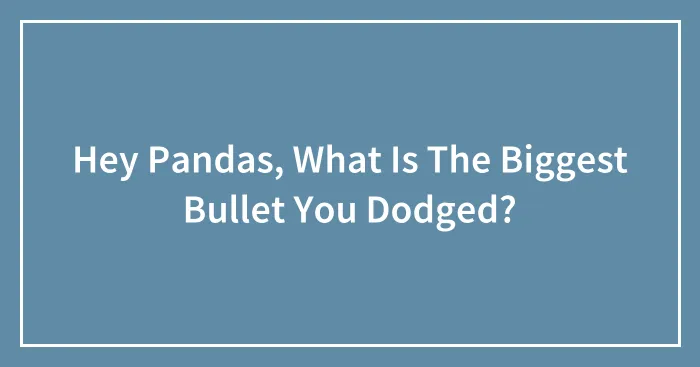 Hey Pandas, What Is The Biggest Bullet You Dodged? (Closed)
