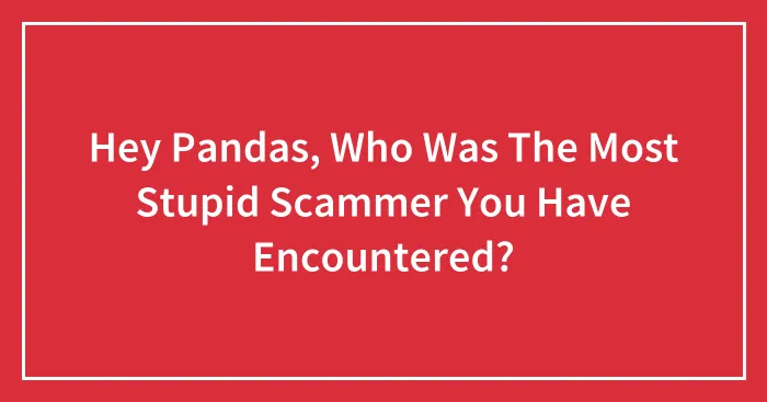 Hey Pandas, Who Was The Most Stupid Scammer You Have Encountered? (Closed)