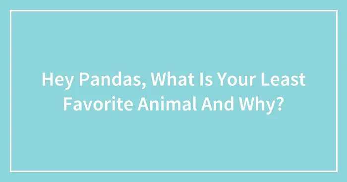 Hey Pandas, What Is Your Least Favorite Animal And Why? (Closed)