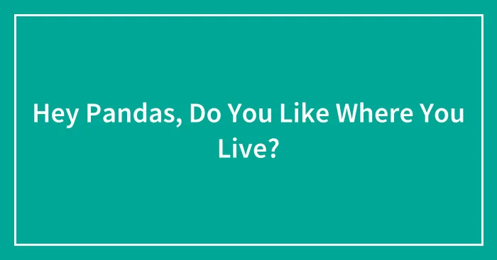 Hey Pandas, Do You Like Where You Live? (Closed)