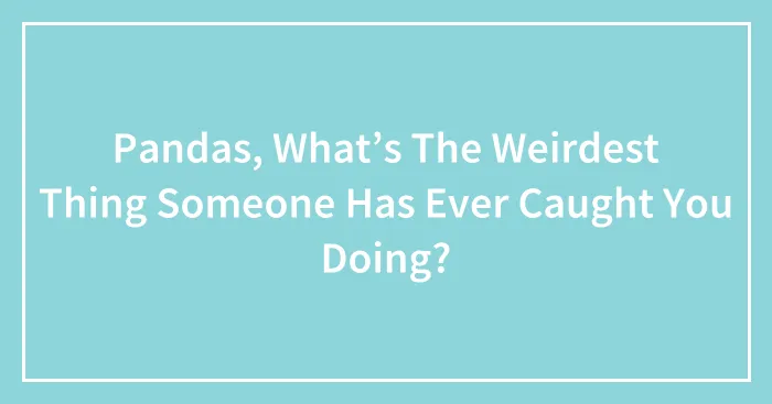 Pandas, What’s The Weirdest Thing Someone Has Ever Caught You Doing? (Closed)