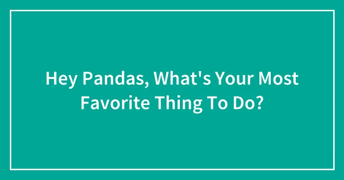 Hey Pandas, What's Your Most Favorite Thing To Do? (Closed)