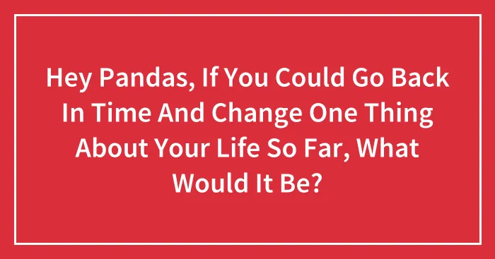 Hey Pandas, If You Could Go Back In Time And Change One Thing About Your Life So Far, What Would It Be?