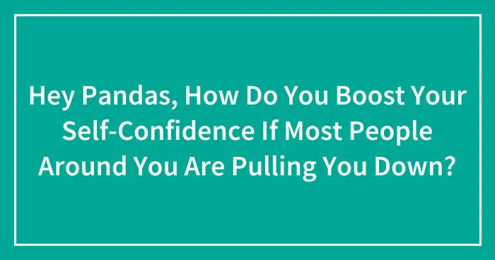 Hey Pandas, How Do You Boost Your Self-Confidence If Most People Around You Are Pulling You Down? (Closed)
