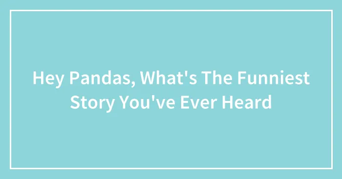 Hey Pandas, What's The Funniest Story You've Ever Heard