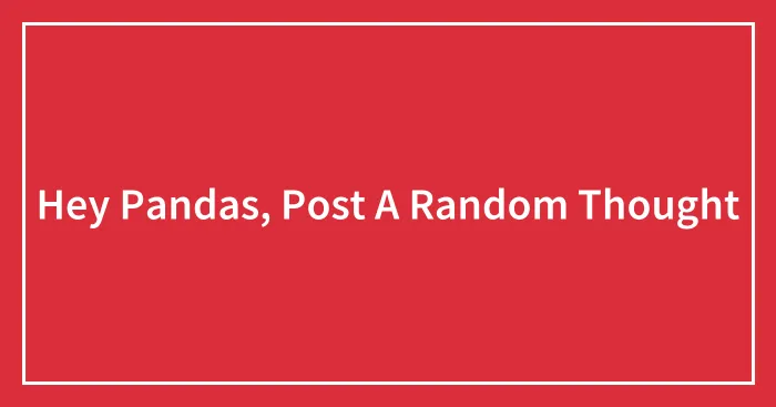 Hey Pandas, Post A Random Thought (Closed)