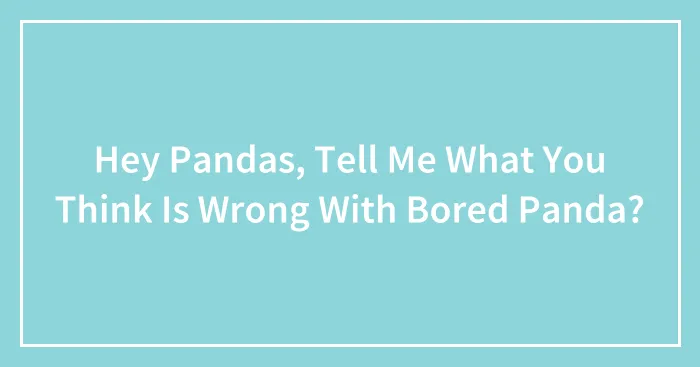 Hey Pandas, Tell Me What You Think Is Wrong With Bored Panda? (Closed)