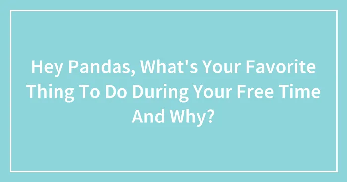 Hey Pandas, What's Your Favorite Thing To Do During Your Free Time And Why? (Closed)