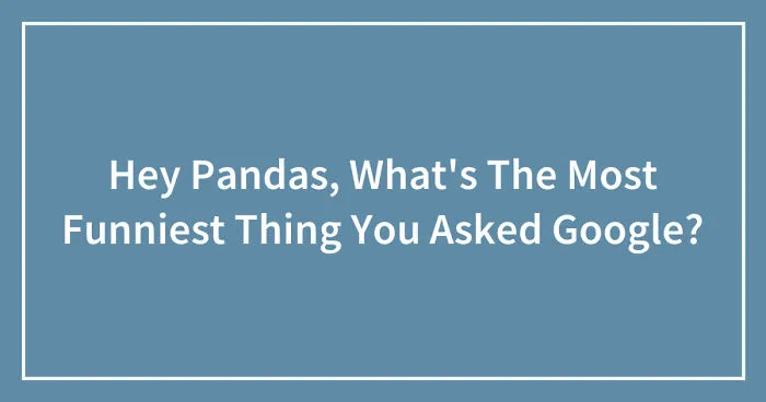 Hey Pandas, What's The Most Funniest Thing You Asked Google? (Closed)