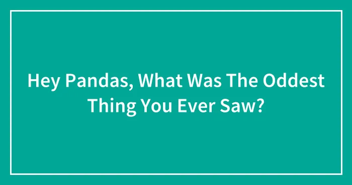 Hey Pandas, What Was The Oddest Thing You Ever Saw? (Closed)