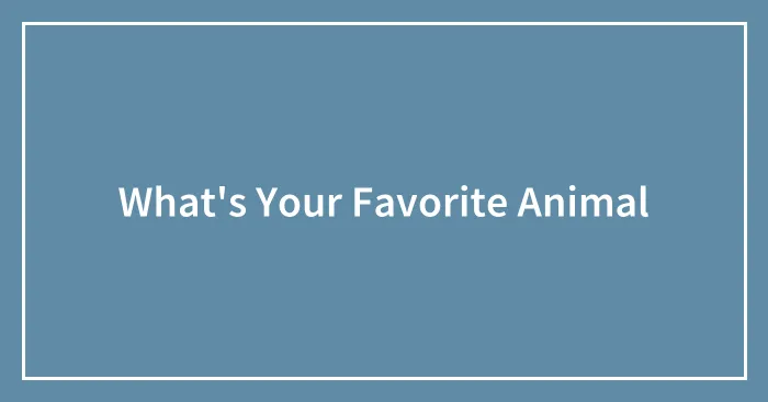 What's Your Favorite Animal