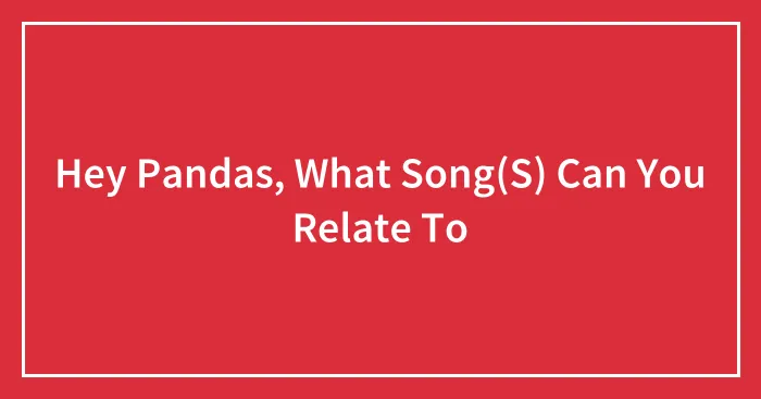 Hey Pandas, What Song(S) Can You Relate To