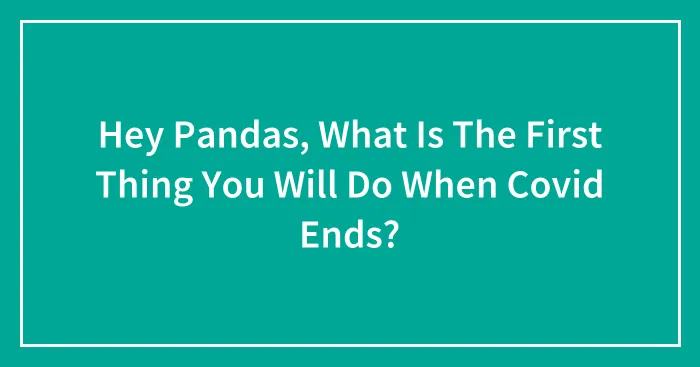 Hey Pandas, What Is The First Thing You Will Do When Covid Ends? (Closed)