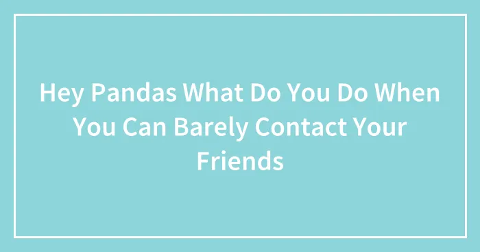 Hey Pandas What Do You Do When You Can Barely Contact Your Friends