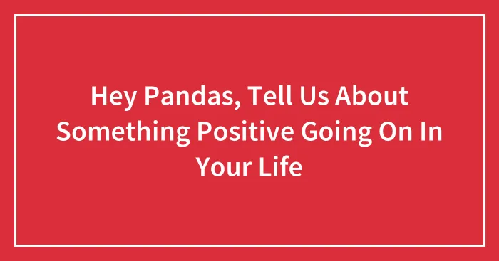 Hey Pandas, Tell Us About Something Positive Going On In Your Life (Closed)