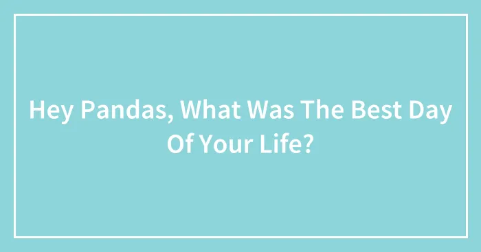Hey Pandas, What Was The Best Day Of Your Life?