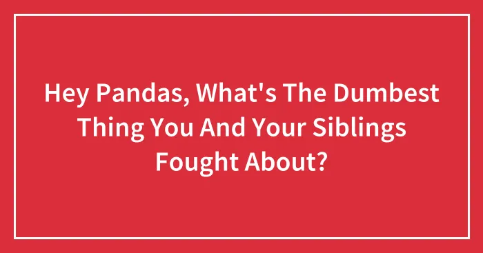 Hey Pandas, What's The Dumbest Thing You And Your Siblings Fought About? (Closed)