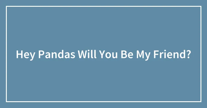 Hey Pandas Will You Be My Friend?