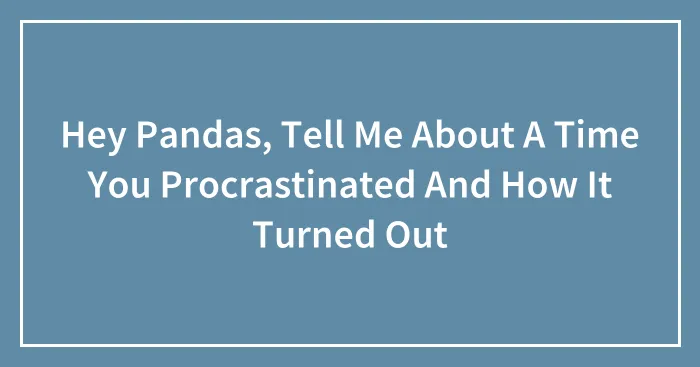 Hey Pandas, Tell Me About A Time You Procrastinated And How It Turned Out