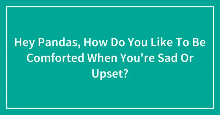 Hey Pandas, How Do You Like To Be Comforted When You're Sad Or Upset? (Closed)