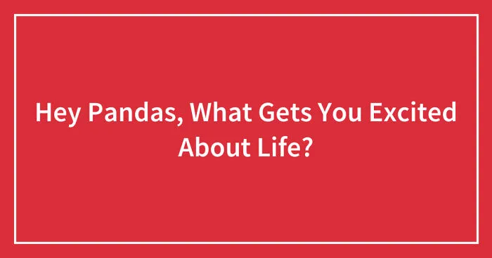 Hey Pandas, What Gets You Excited About Life? (Closed)