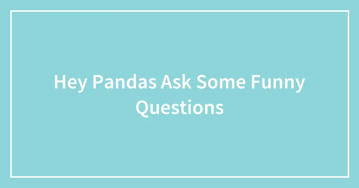Hey Pandas Ask Some Funny Questions
