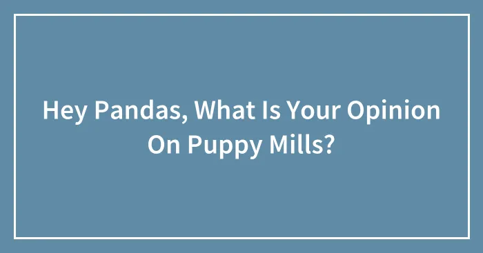 Hey Pandas, What Is Your Opinion On Puppy Mills? (Closed)