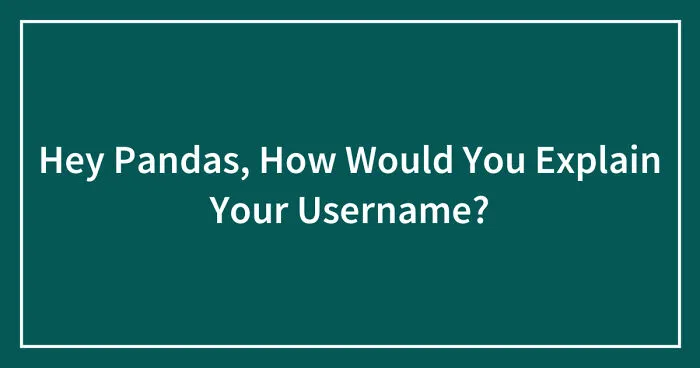 Hey Pandas, How Would You Explain Your Username? (Closed)