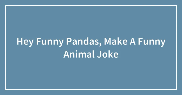 Hey Funny Pandas, Make A Funny Animal Joke