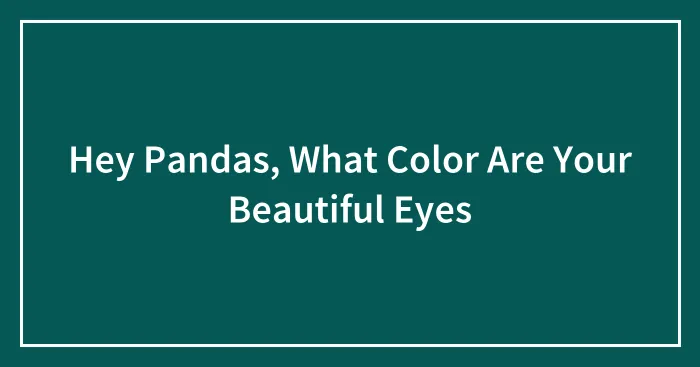 Hey Pandas, What Color Are Your Beautiful Eyes